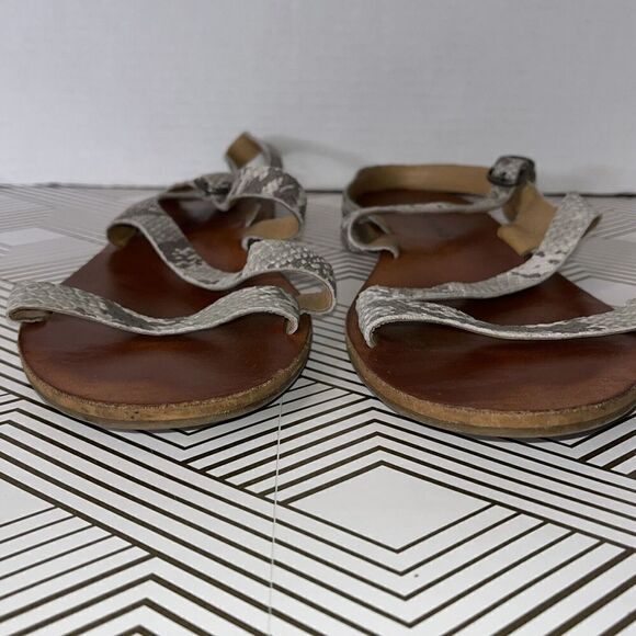 Lucky Brand Strappy Sandals Womens Sz 8.5 Snake Print Flat Buckle - Picture 2 of 10